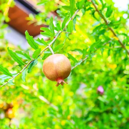 Ξενοδοχείο Sonata